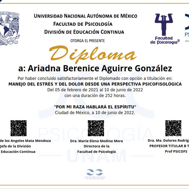 Ampliar imagen: certificate 1