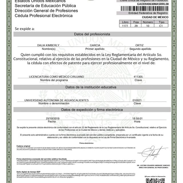 Ampliar imagen: certificate 5