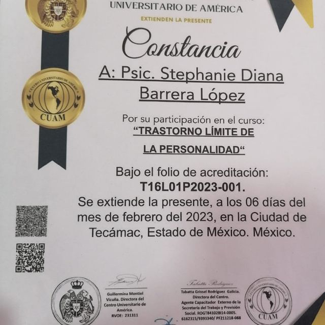 Ampliar imagen: certificate 27