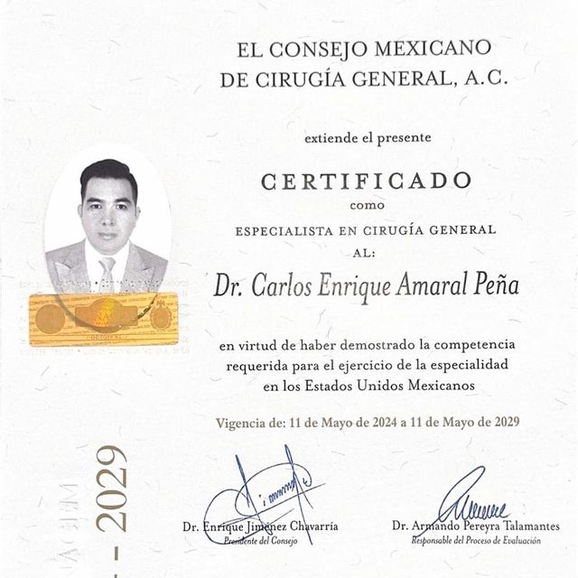 Ampliar imagen: certificate 2