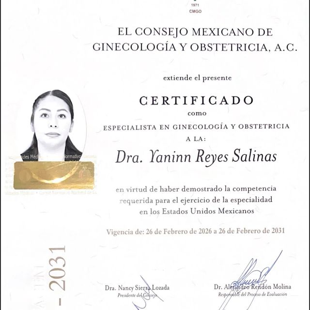 Ampliar imagen: certificate 1