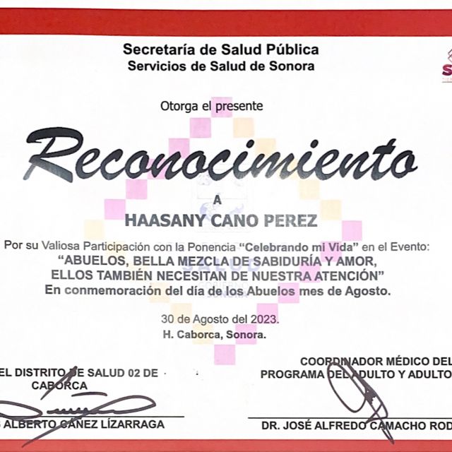 Ampliar imagen: certificate 13