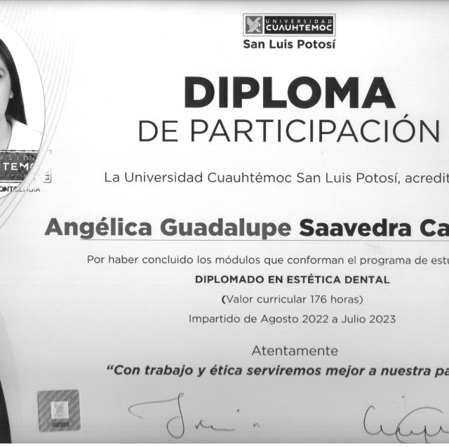 Ampliar imagen: certificate 1