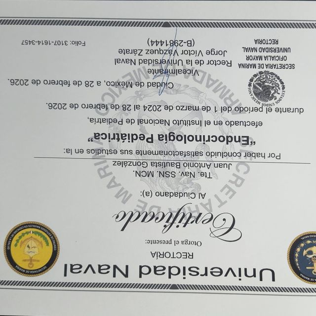 Ampliar imagen: certificate 3