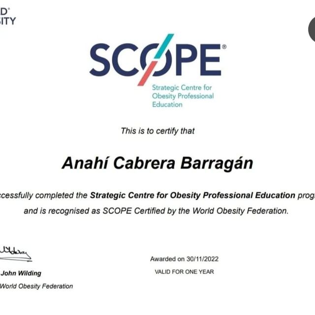 Ampliar imagen: certificate 1