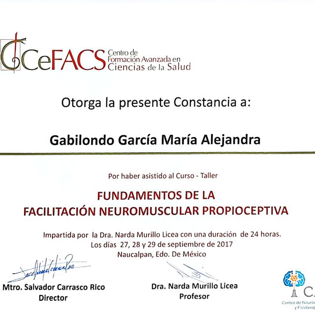 Ampliar imagen: certificate 5
