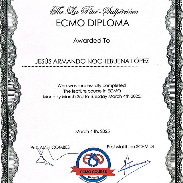 Ampliar imagen: certificate 5