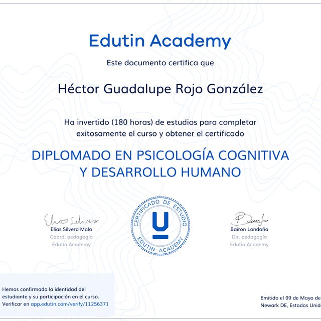 Ampliar imagen: certificate 1