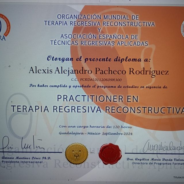 Ampliar imagen: certificate 7