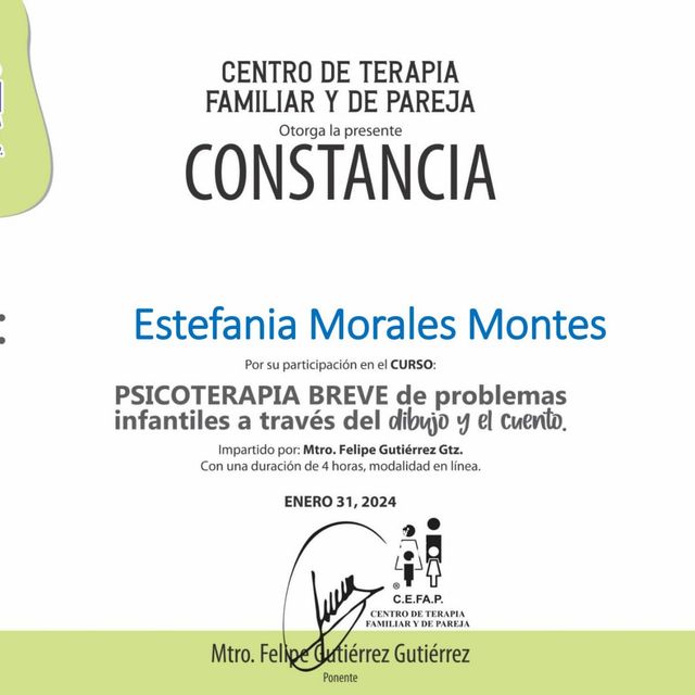 Ampliar imagen: certificate 1