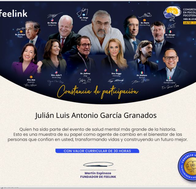 Ampliar imagen: certificate 9