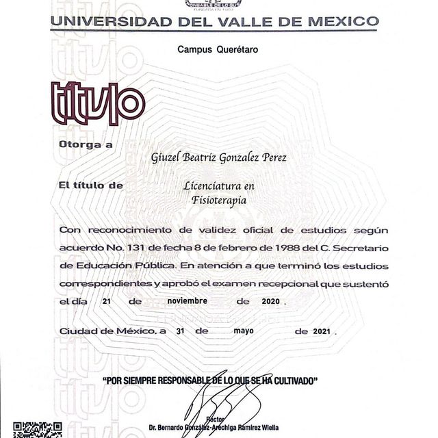 Ampliar imagen: certificate 5