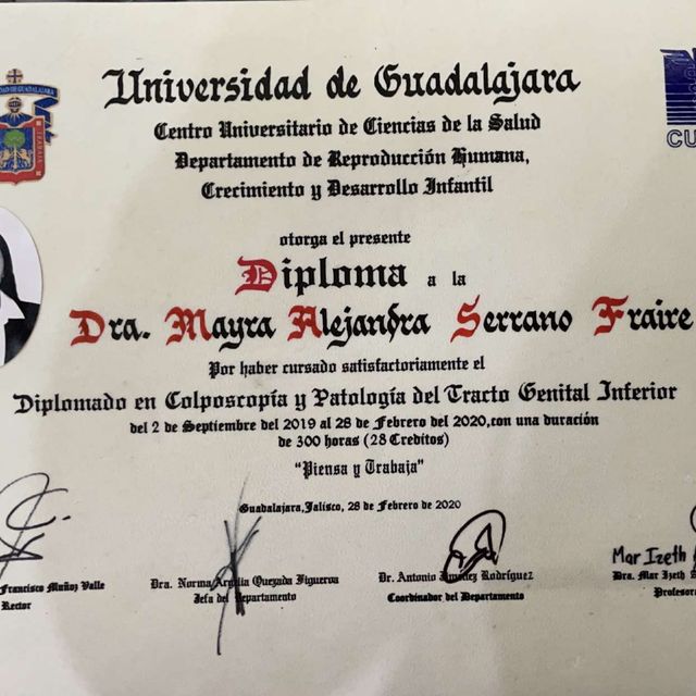 Ampliar imagen: certificate 3