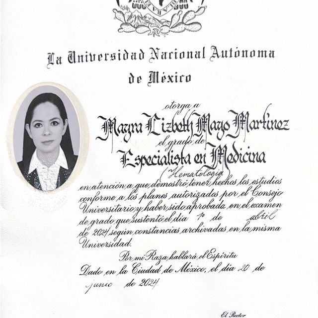 Ampliar imagen: certificate 2