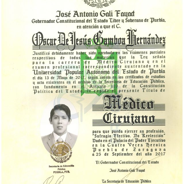 Ampliar imagen: certificate 5
