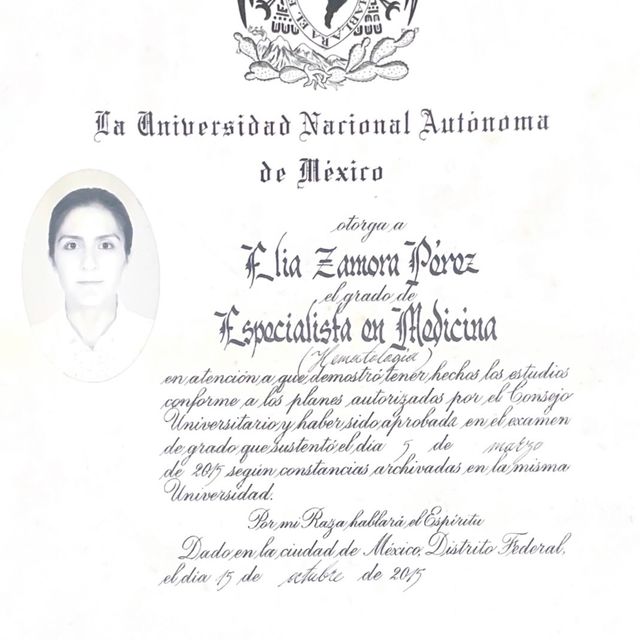 Ampliar imagen: certificate 3