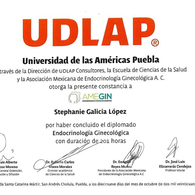 Ampliar imagen: certificate 2
