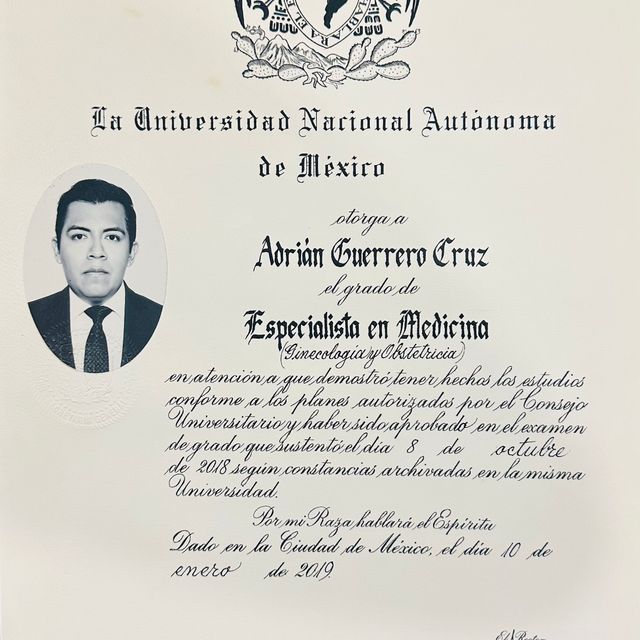 Ampliar imagen: certificate 2