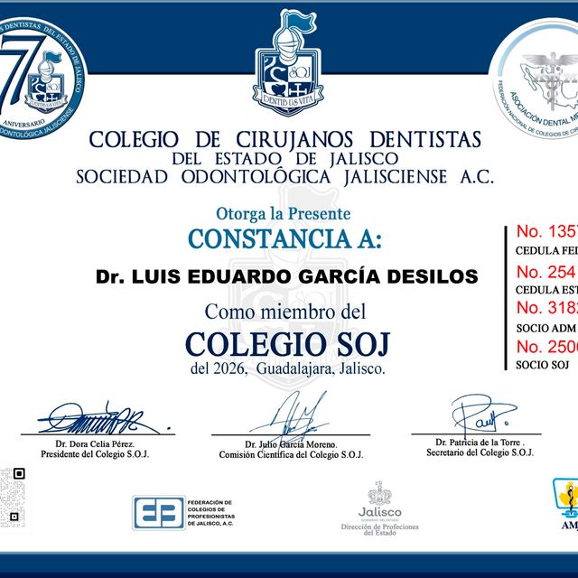 Ampliar imagen: certificate 1