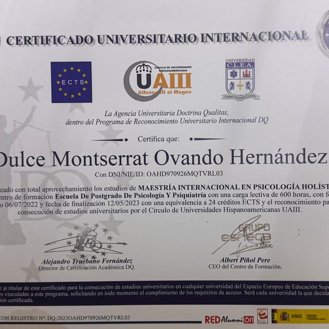 Ampliar imagen: certificate 8