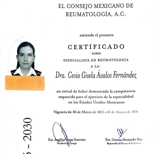 Ampliar imagen: certificate 1