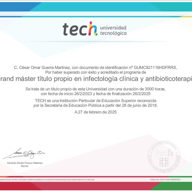 Ampliar imagen: certificate 2