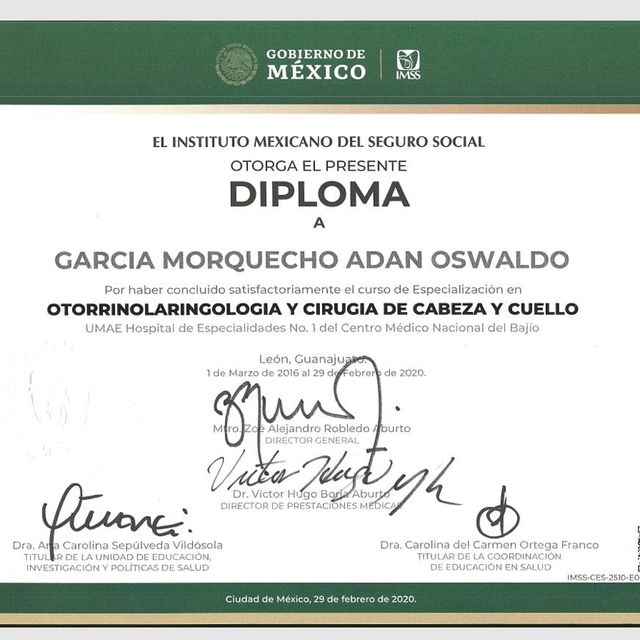 Ampliar imagen: certificate 3