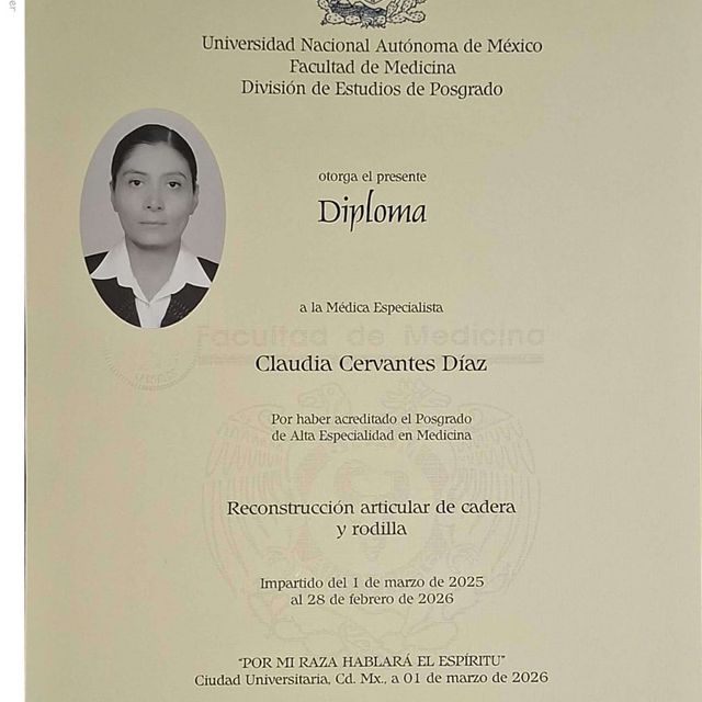 Ampliar imagen: certificate 2