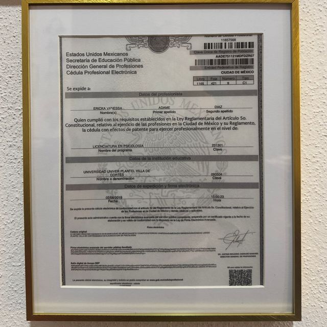 Ampliar imagen: certificate 2