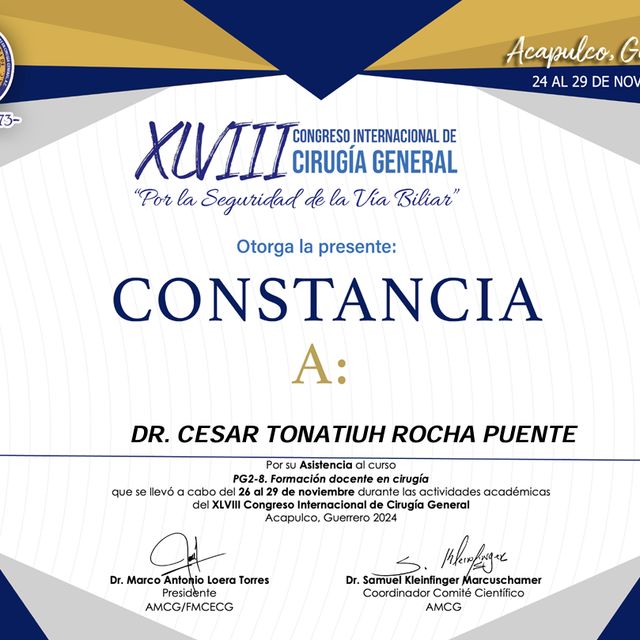 Ampliar imagen: certificate 33