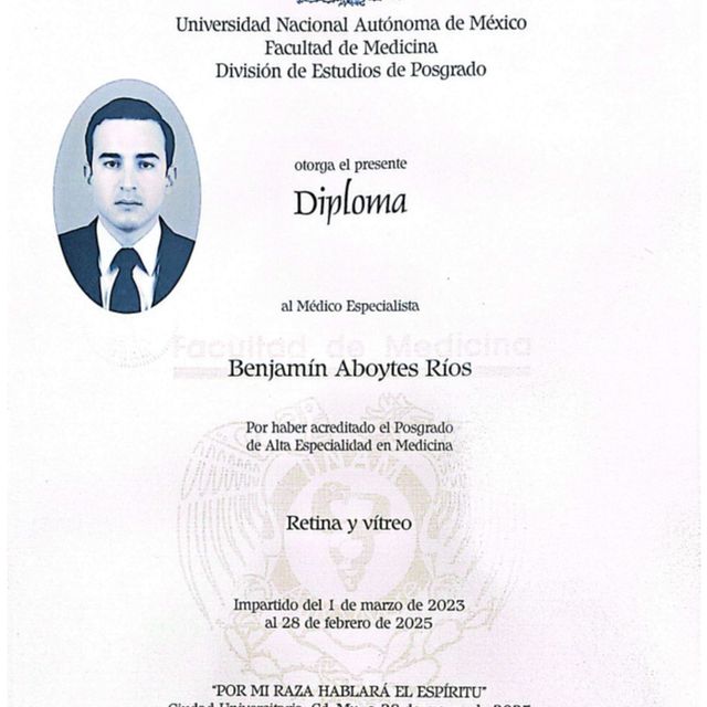 Ampliar imagen: certificate 2