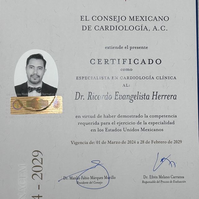 Ampliar imagen: certificate 12