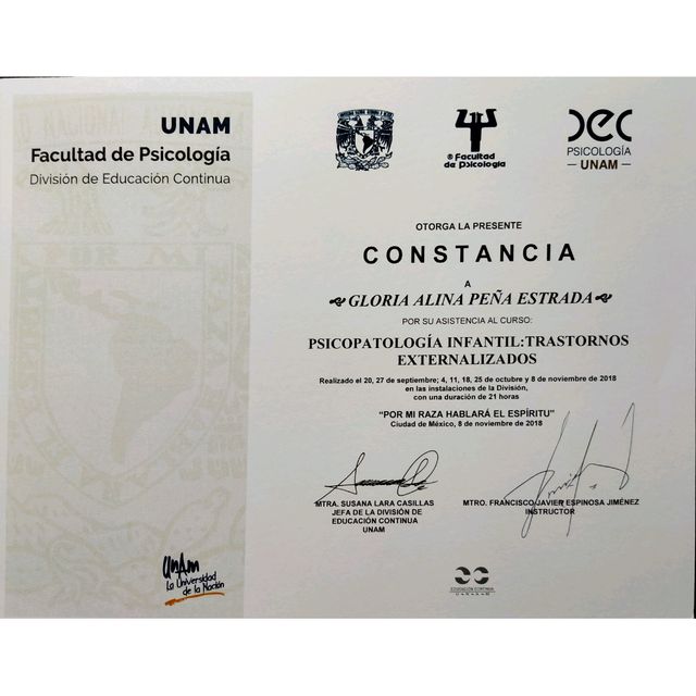 Ampliar imagen: certificate 16