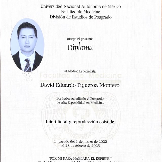 Ampliar imagen: certificate 2