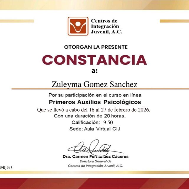 Ampliar imagen: certificate 4