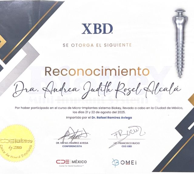 Ampliar imagen: certificate 13
