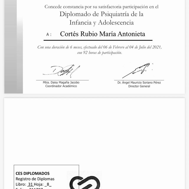 Ampliar imagen: certificate 5