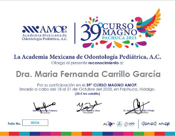 Ampliar imagen: certificate 12