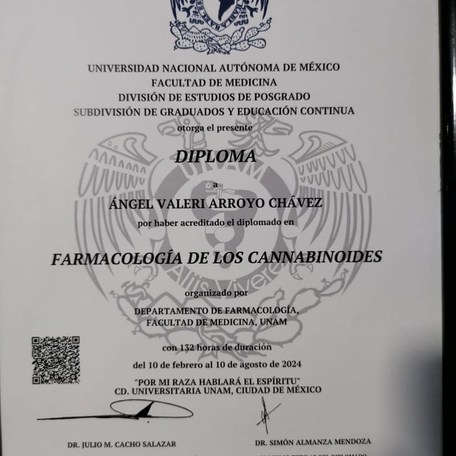 Ampliar imagen: certificate 2