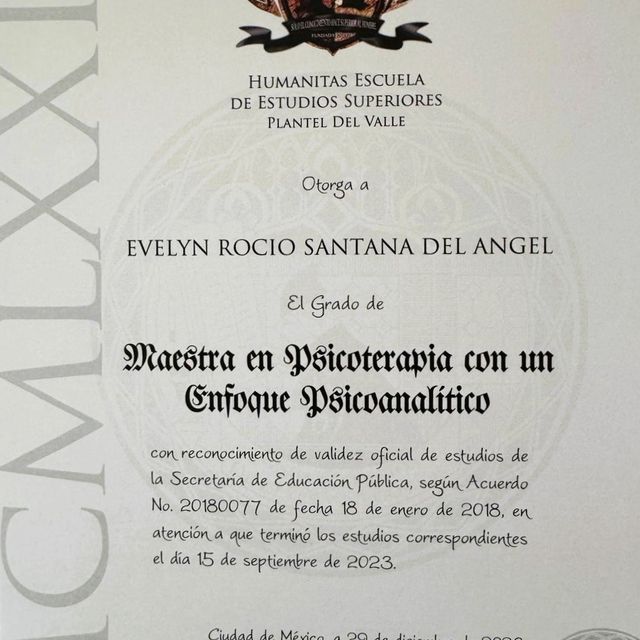 Ampliar imagen: certificate 2