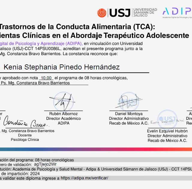 Ampliar imagen: certificate 5