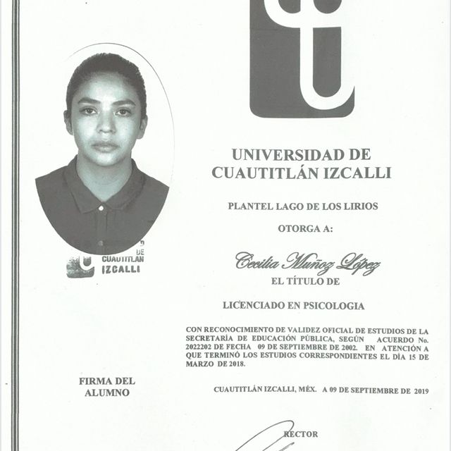 Ampliar imagen: certificate 5
