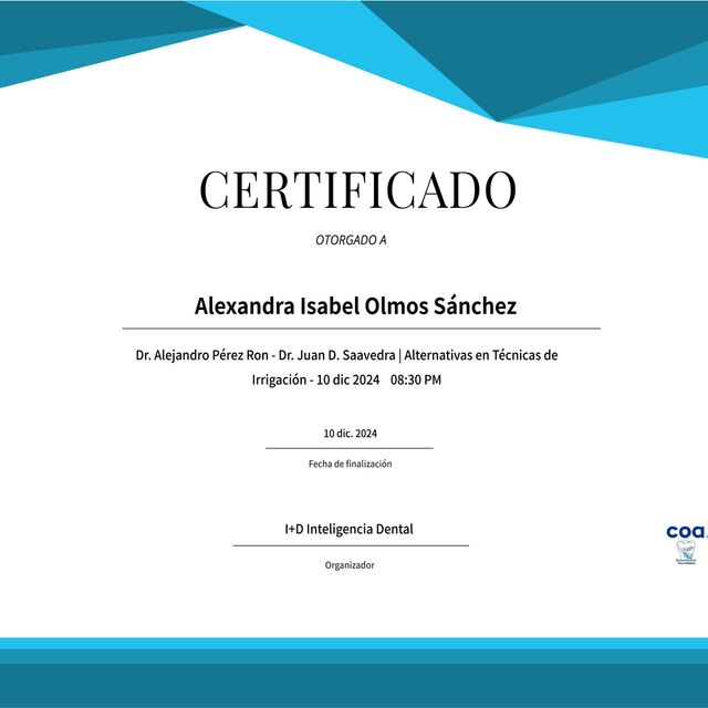 Ampliar imagen: certificate 4