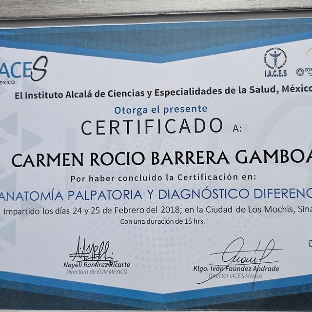 Ampliar imagen: certificate 1