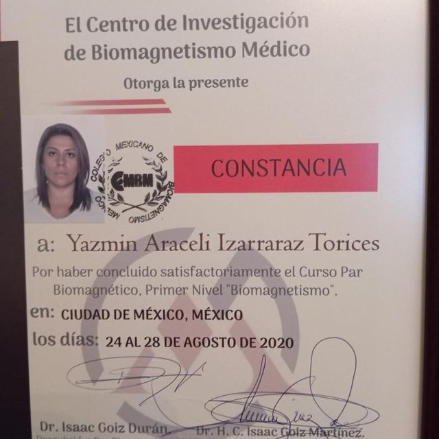 Ampliar imagen: certificate 8