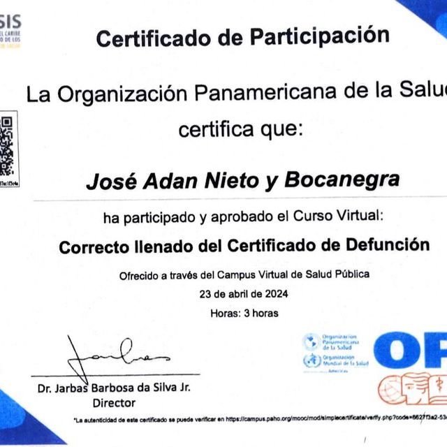 Ampliar imagen: certificate 4