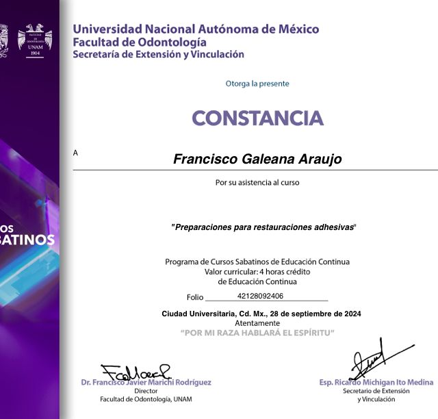 Ampliar imagen: certificate 1