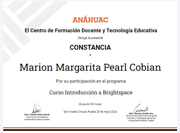 Ampliar imagen: certificate 3