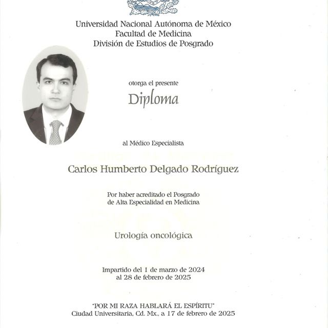 Ampliar imagen: certificate 5