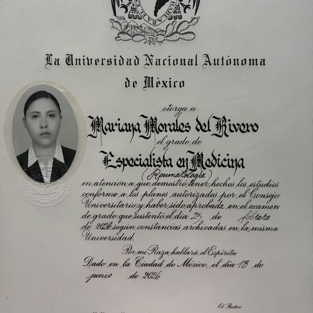 Ampliar imagen: certificate 4